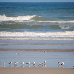 On the beach, white sand