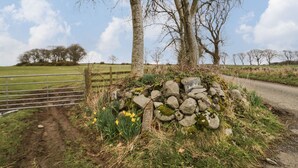 Un paysage rural avec un mur de pierres, un portail en métal et un chemin de terre.