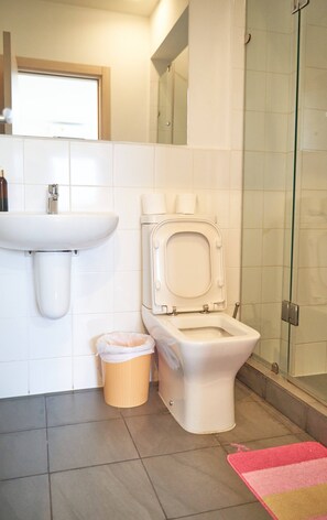 Dusche, Handtücher, Toilettenpapier