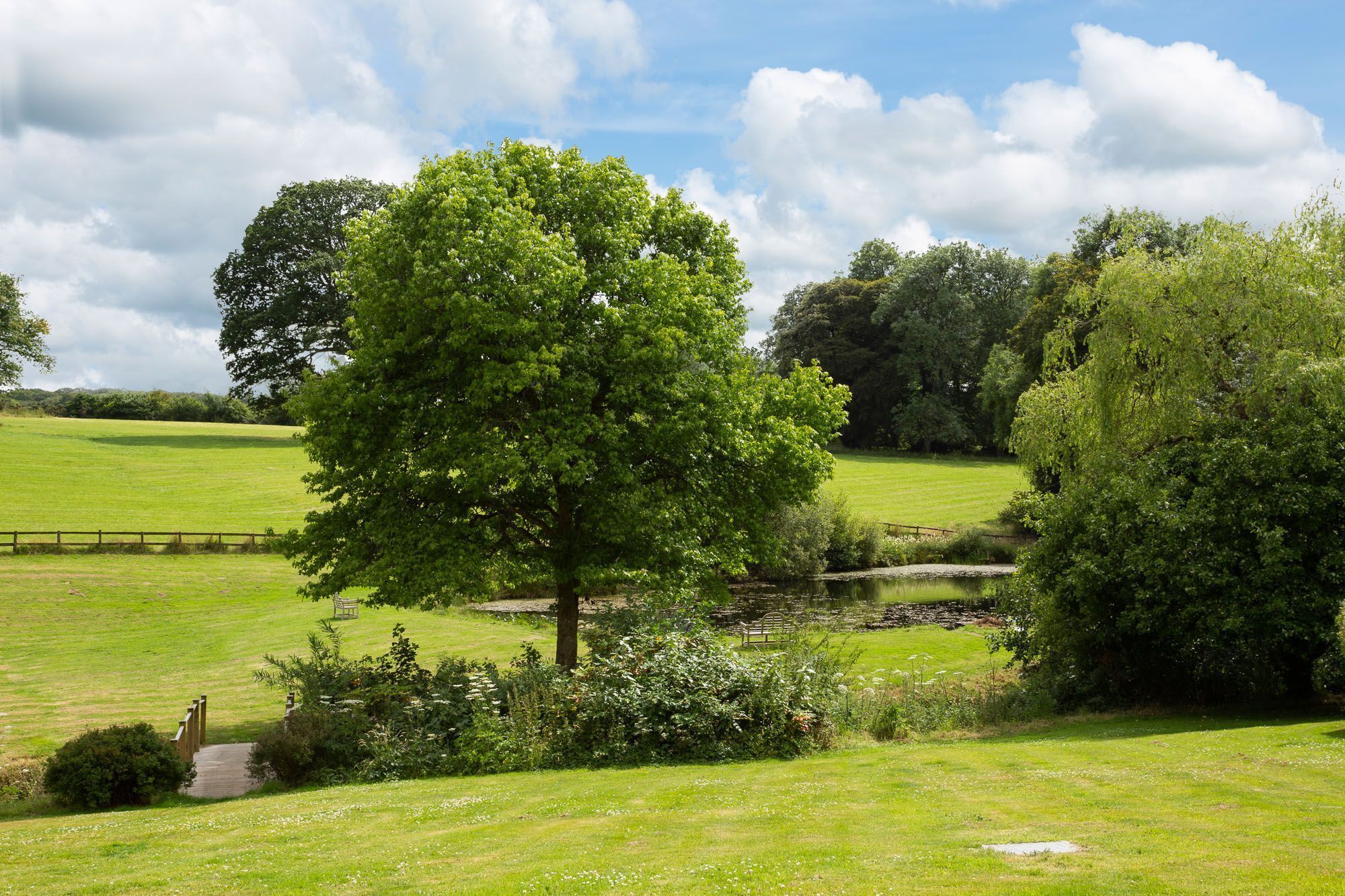 A grassy field with a pond, trees, and a wooden fence.