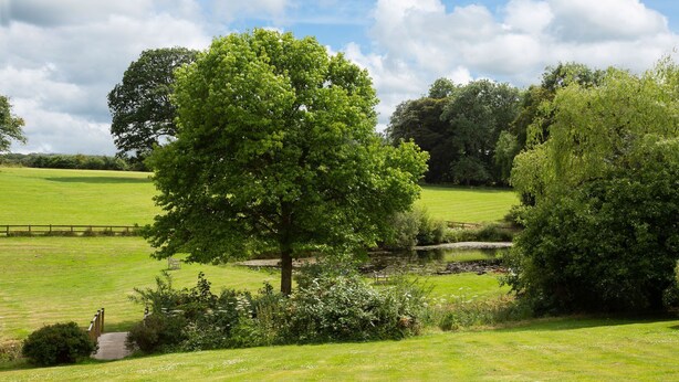 A grassy field with a pond, trees, and a wooden fence. - Colleton Hall - Six Bedroom Villa, Sleeps 12 (Rackenford)