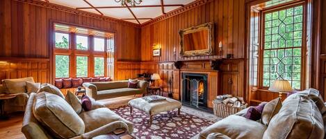 Smart TV, chimenea, reproductor de DVD, libros