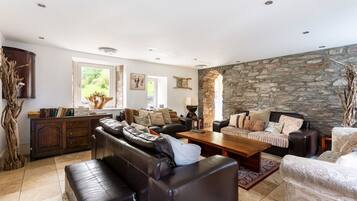 Télévision, cheminée, lecteur de DVD, baby-foot