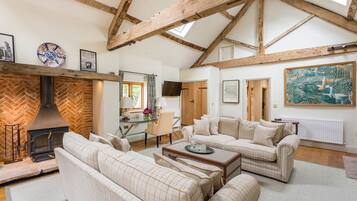 Fernseher, Kamin, Bücher