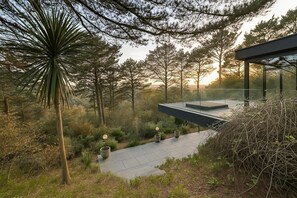 Una terraza moderna al aire libre con barandilla de vidrio, rodeada de un bosque denso y una palmera.