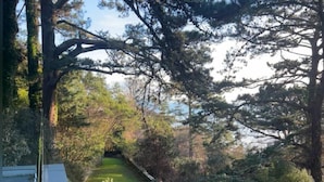 A pathway leading through a garden with various plants and trees.