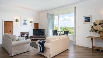 TV, fireplace, DVD player