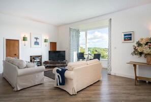 Fernseher, Kamin, DVD-Player