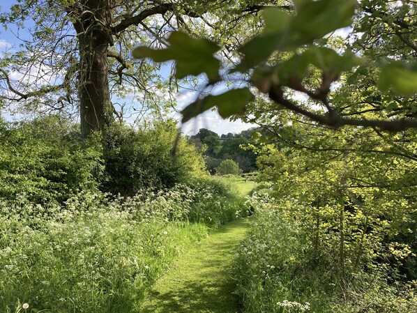 Áreas de la propiedad