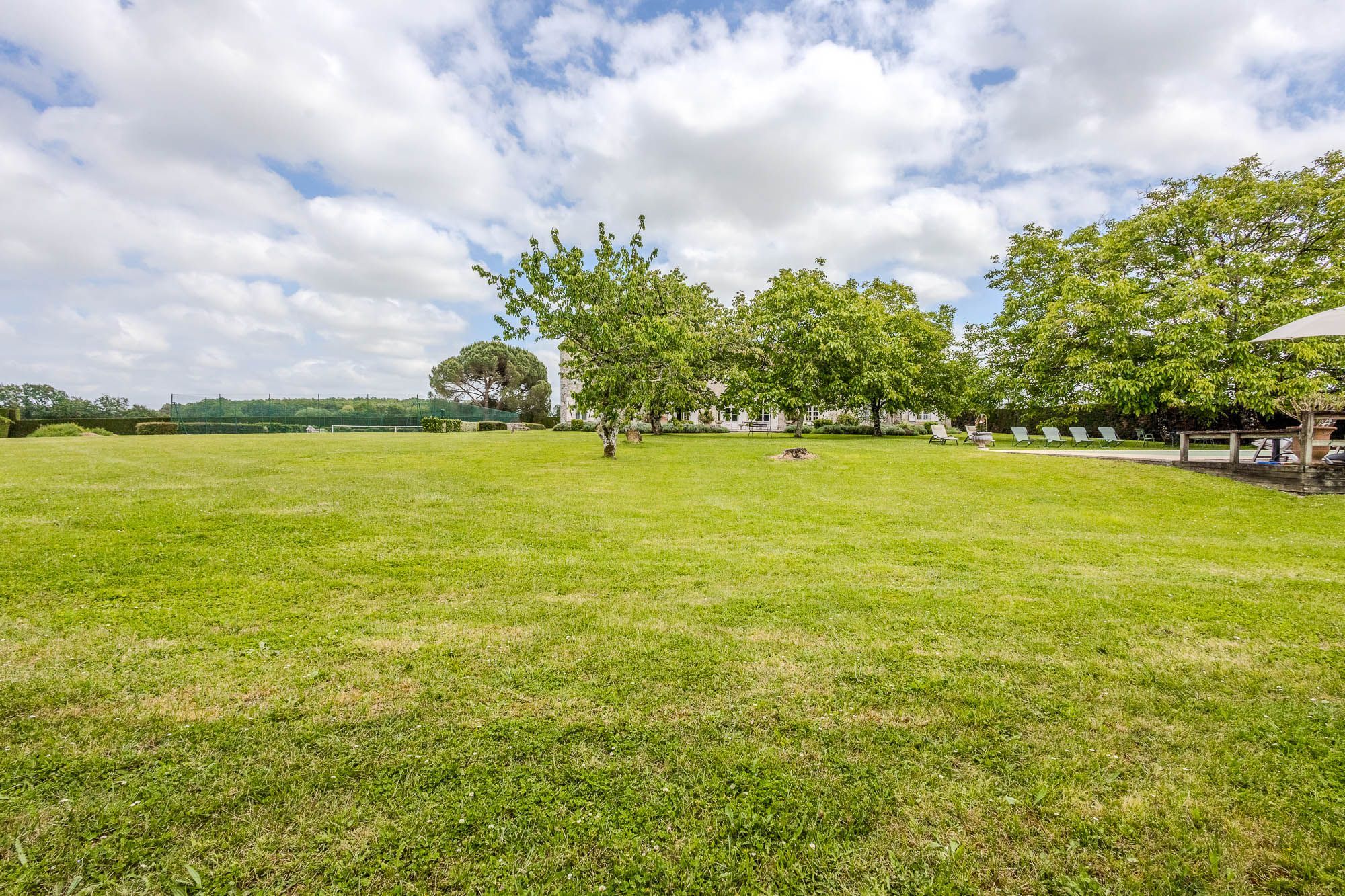 A grassy field with trees and a building in the background.