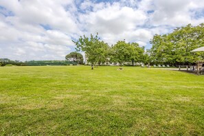Un champ herbeux avec des arbres et un bâtiment en arrière-plan.