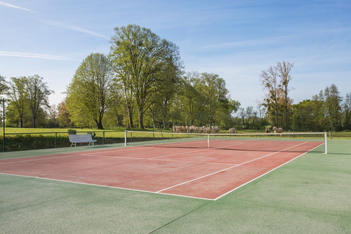 Cancha de tenis con red, rodeada de árboles y un banco.