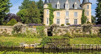 Chateau De La Manay - Seven Bedroom Castle, Sleeps 14