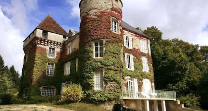 Chateau Roussignol - Twelve Bedroom Castle, Sleeps 28