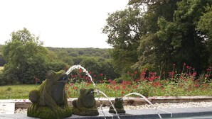 A pool with frog sculptures and a water feature. - Chateau Roussignol - Twelve Bedroom Castle, Sleeps 28 (Le Blanc)