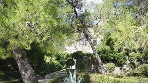 Ein Garten mit einem Weg, einem großen Baum und einem Gebäude im Hintergrund.