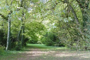 Terrain de l’hébergement 