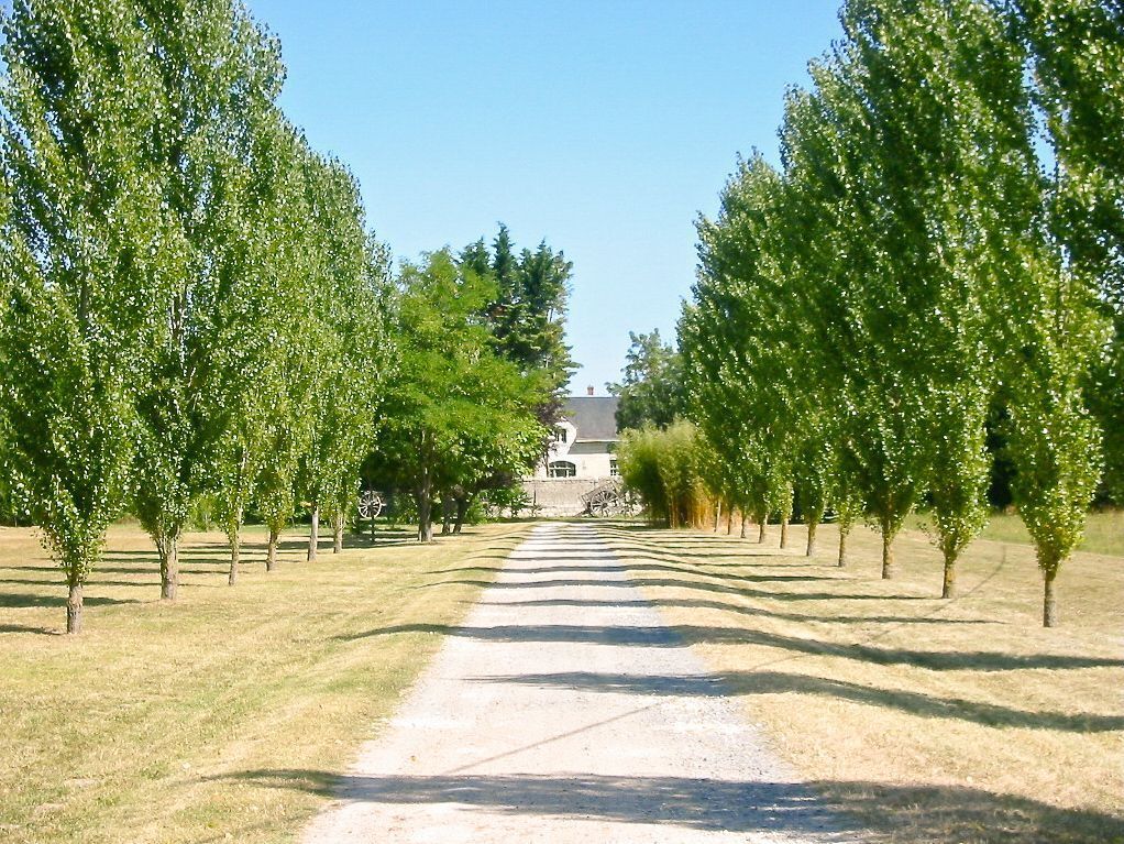 Een pad, omzoomd door bomen, dat leidt naar een gebouw met een schuin dak.