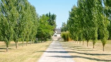 Een pad, omzoomd door bomen, dat leidt naar een gebouw met een schuin dak.