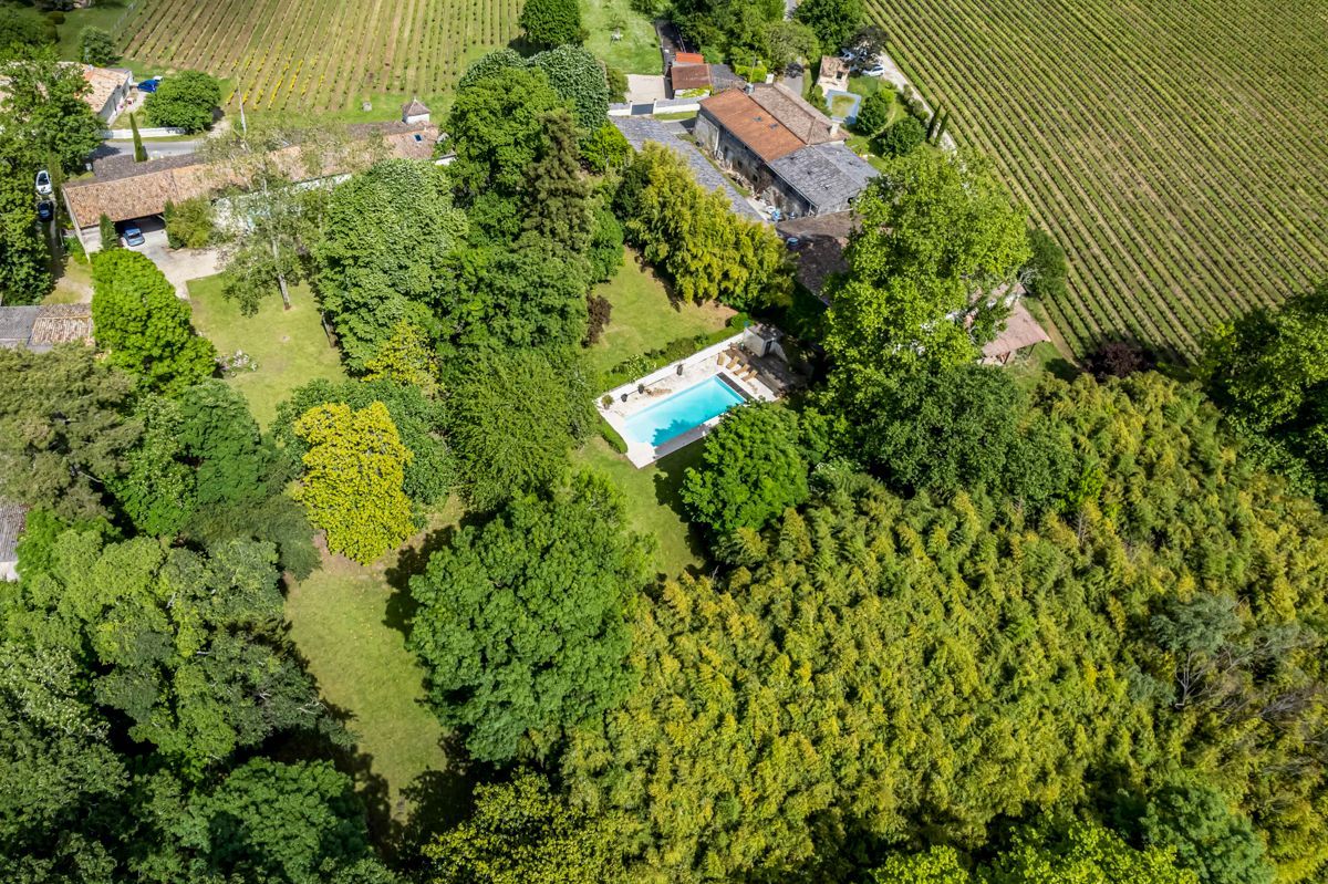 Une vaste propriété dotée d’une piscine, entourée d’une végétation luxuriante, avec un vignoble en arrière-plan.