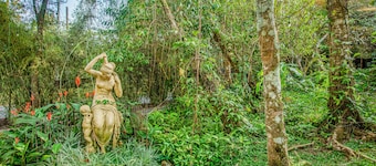 Casa Madre Tierra