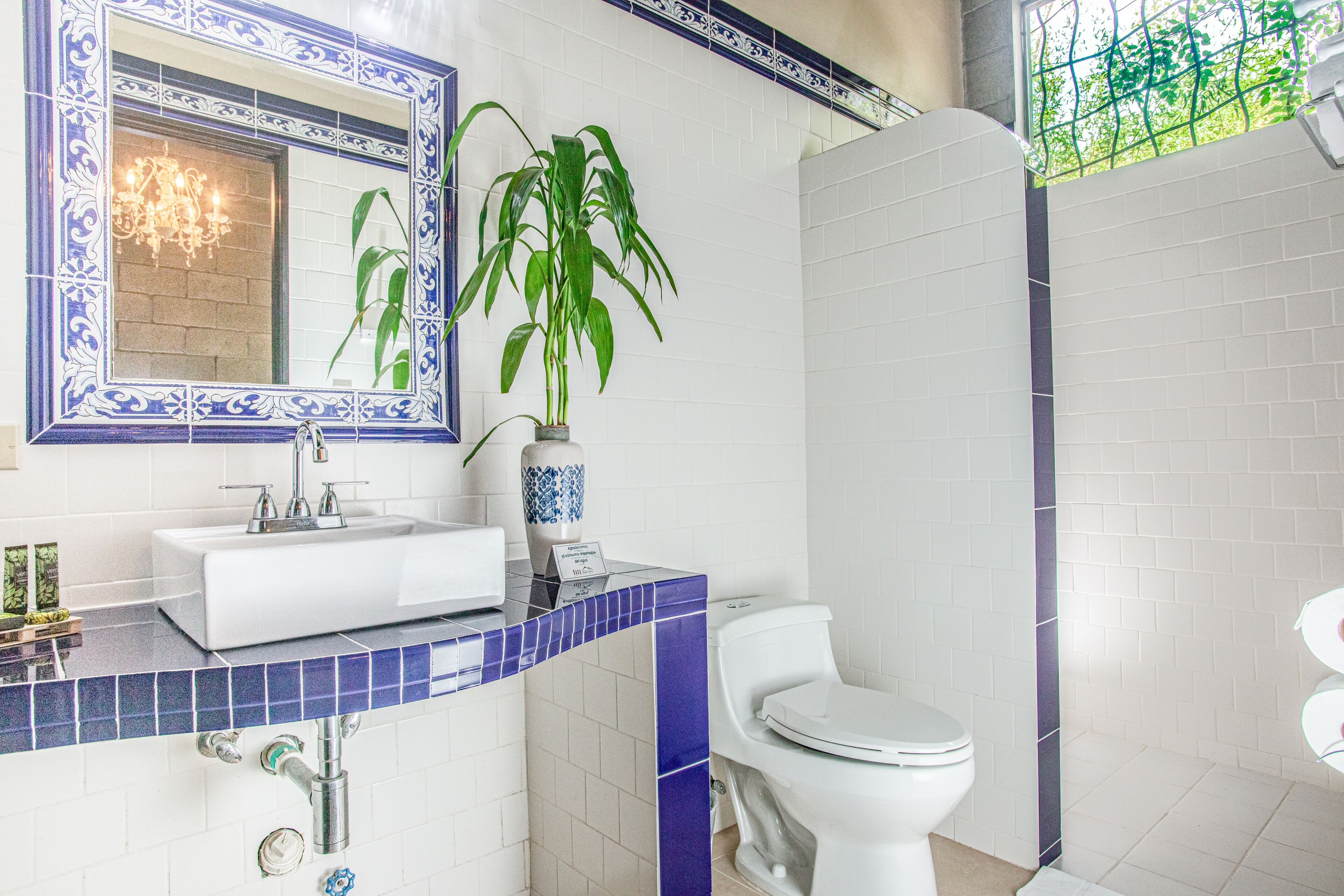 A bathroom with a white sink, blue-tiled countertop, a mirror with a blue frame, a potted plant, and a toilet.