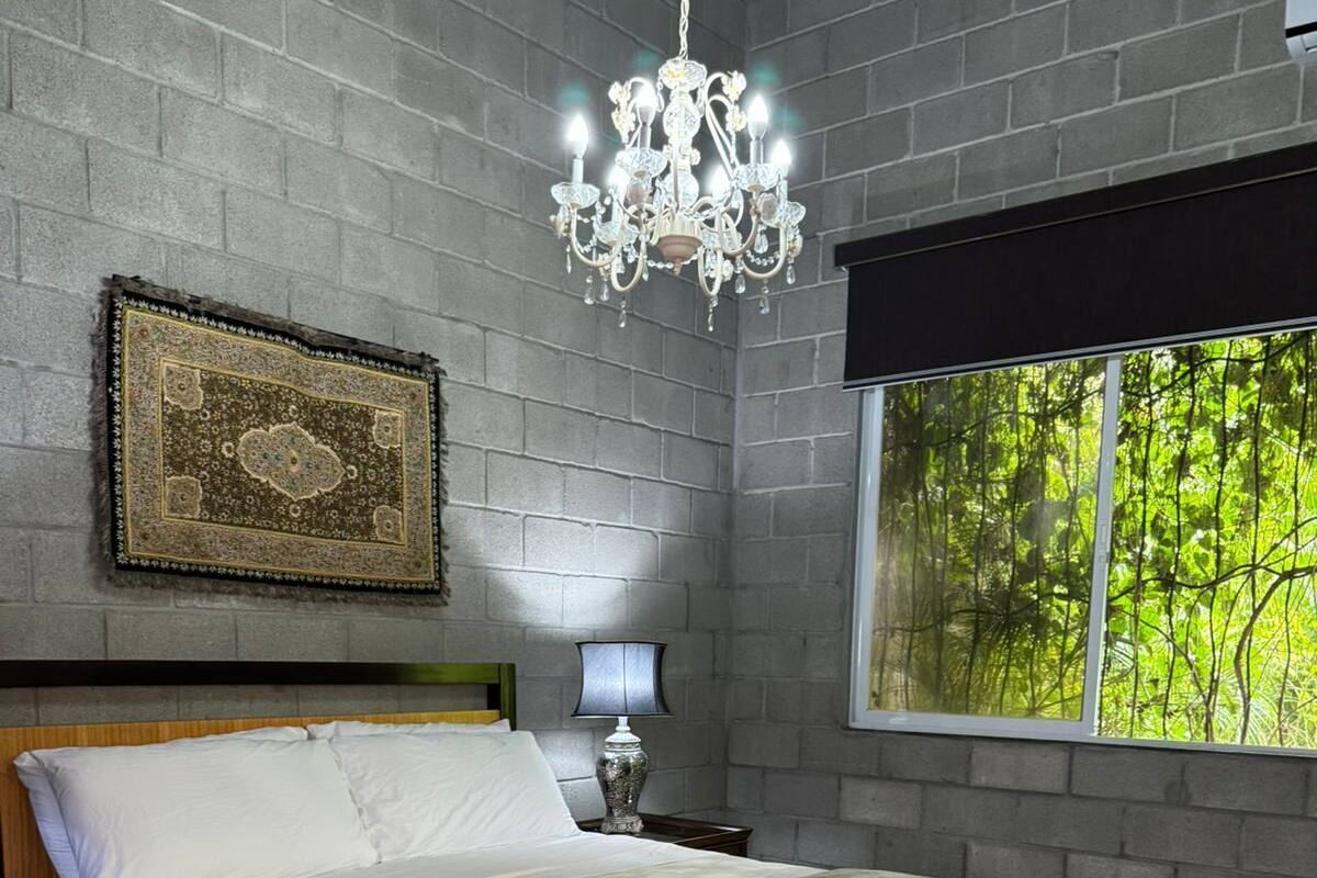A bedroom with a large bed, a chandelier, a window with a view of greenery, and a patterned rug.