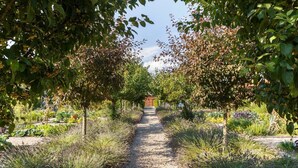 A gravel path flanked by trees and shrubs, leading to a brick building. - Chateau Quatre Saisons (Domjean)