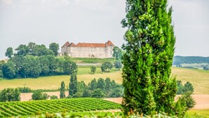 Eksteriør