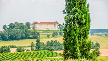 Esterni