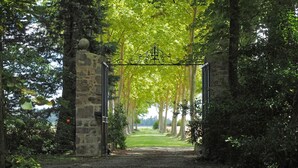 Un arc en pierre qui mène à un sentier bordé d’arbres.