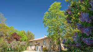 A rustic stone building with a gravel driveway, surrounded by lush greenery and flowering trees. - Cottage Des Cathares (Plaigne)