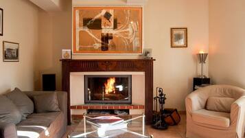 Televisie, een open haard, een dvd-speler en boeken