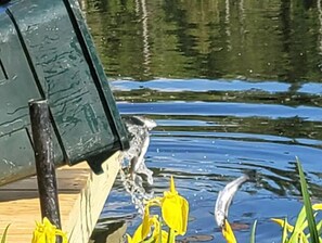 Miscellaneous - 05) The RV Campsite 1 (Stewartstown)