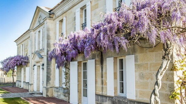 A historic building with a stone facade, large windows, and a covered walkway. - Chateau Grand Cru - Five Bedroom Castle, Sleeps 10 (Saint-Emilion)