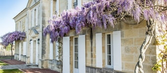 Chateau Grand Cru - Five Bedroom Castle, Sleeps 10