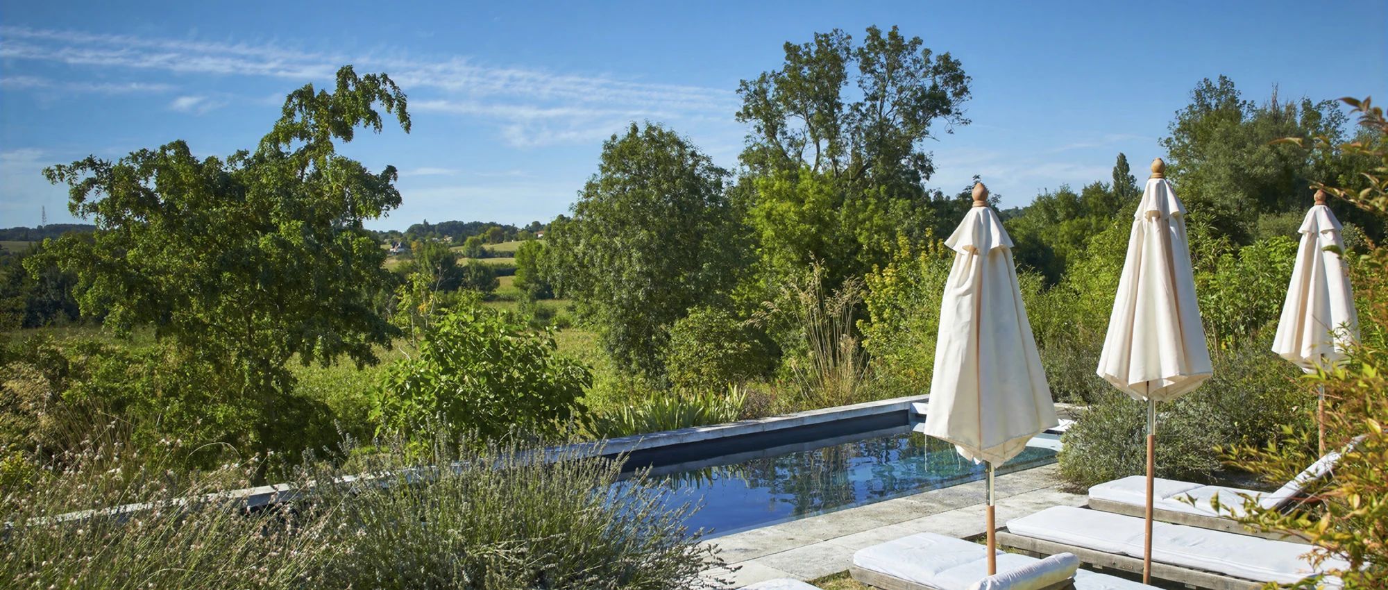 A poolside area with lounge chairs and umbrellas, surrounded by lush greenery and trees.