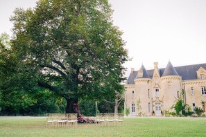 A large tree with pink flowers in front of a castle-like building with multiple towers.