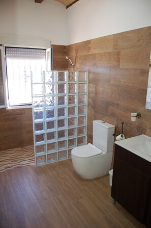 Een douche, een bidet, handdoeken