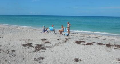 Secluded Little Gasparilla Island - minutes from the beach.