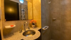 A bathroom with a granite countertop, a stainless steel sink, a mirror, a towel rack, and a potted plant. - Downtown Apartment (VILLA MARIA)