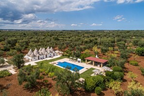 Eine Villa mit Swimmingpool, umgeben von Olivenhainen und blauem Himmel.