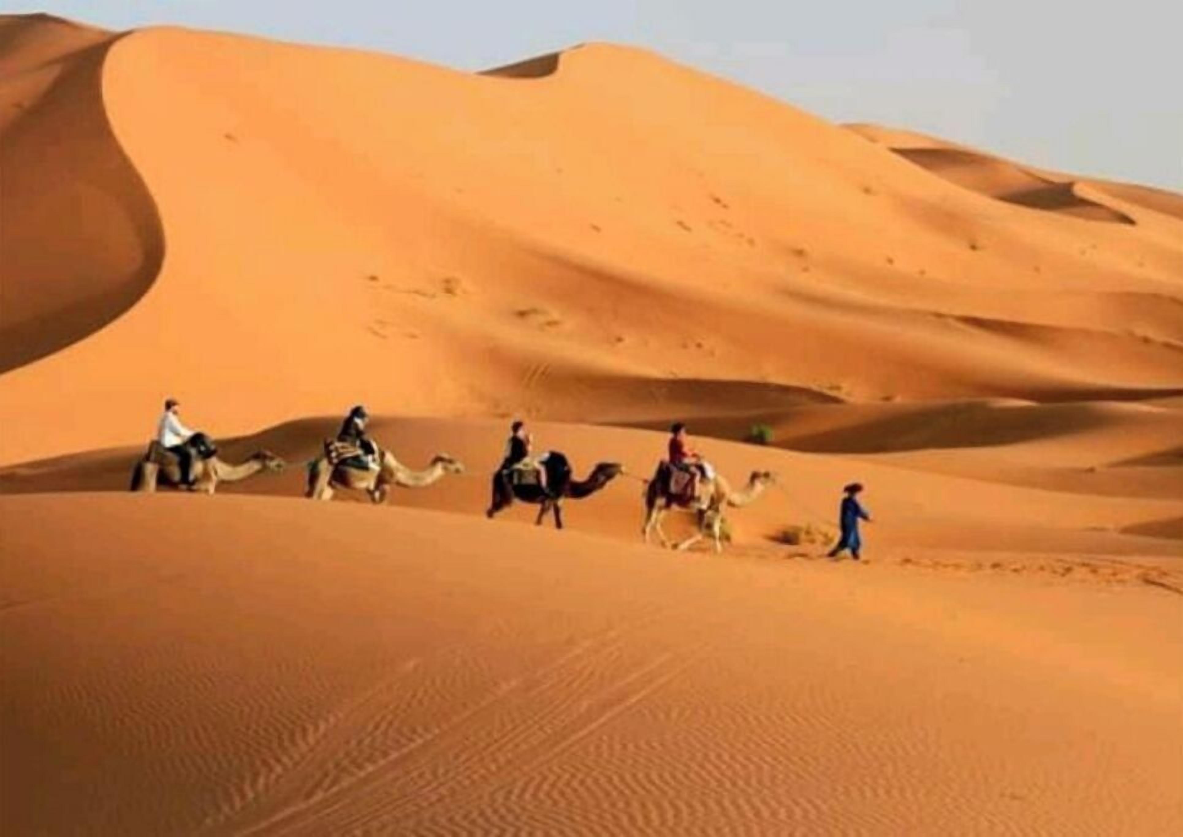 A desert landscape with sand dunes and camels.