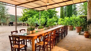 Une terrasse extérieure avec une longue table et des chaises en bois, entourée de plantes en pot et d’un espace abrité agrémenté de guirlandes lumineuses.
