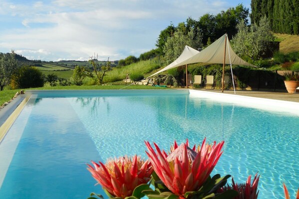 A swimming pool with a clear blue water surface, surrounded by greenery and a white canopy structure.