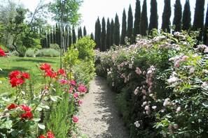 A garden pathway with red and pink flowers, surrounded by greenery and tall trees.