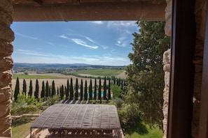Vista desde una ventana enmarcada en piedra que da a un viñedo, una piscina y un paisaje rural.