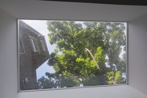 A window with a view of a tree and a building.