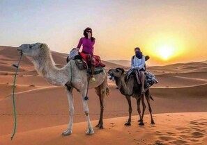 Two camels with riders in a desert landscape during sunset.