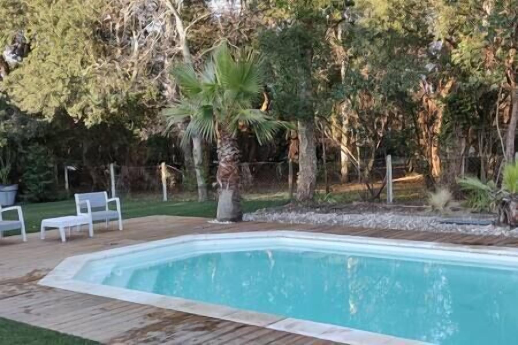 A rectangular swimming pool with a wooden deck surrounding it, a palm tree, and a fence in the background.
